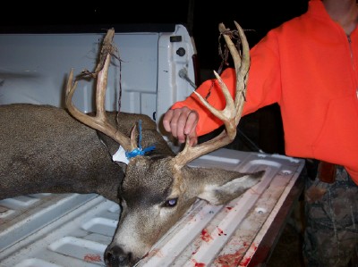 first muley buck 06 rifle