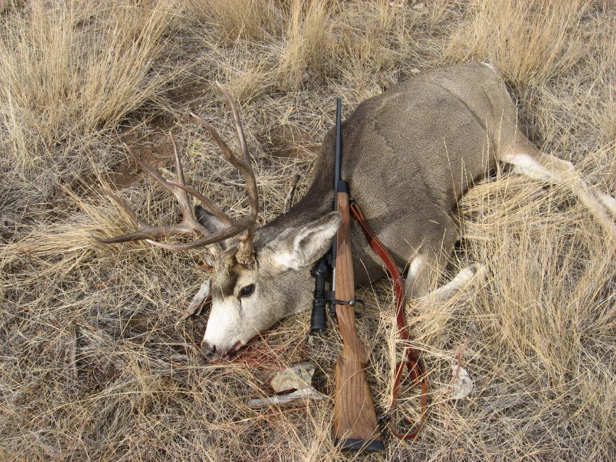 Montana Buck