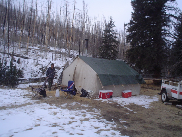 Cow elk hunt with pic&#039;s