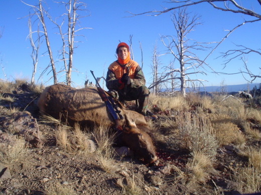 Cow elk hunt with pic&#039;s