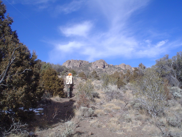 Cow elk hunt with pic&#039;s