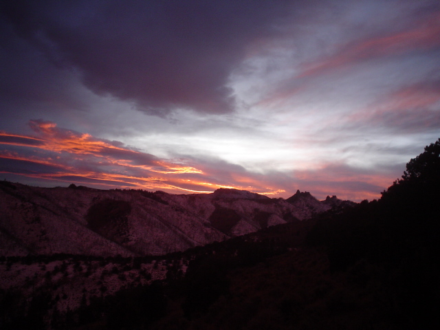 Cow elk hunt with pic&#039;s