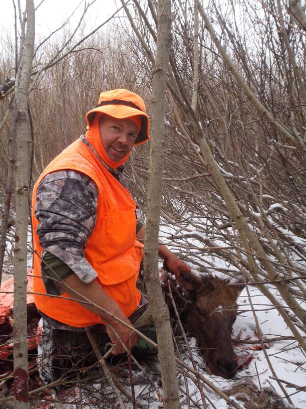 Shot my cow in a snow storm.