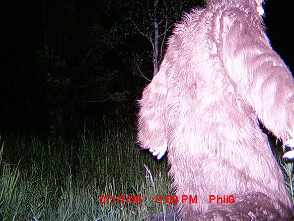 Re: Check out Sasquatch!