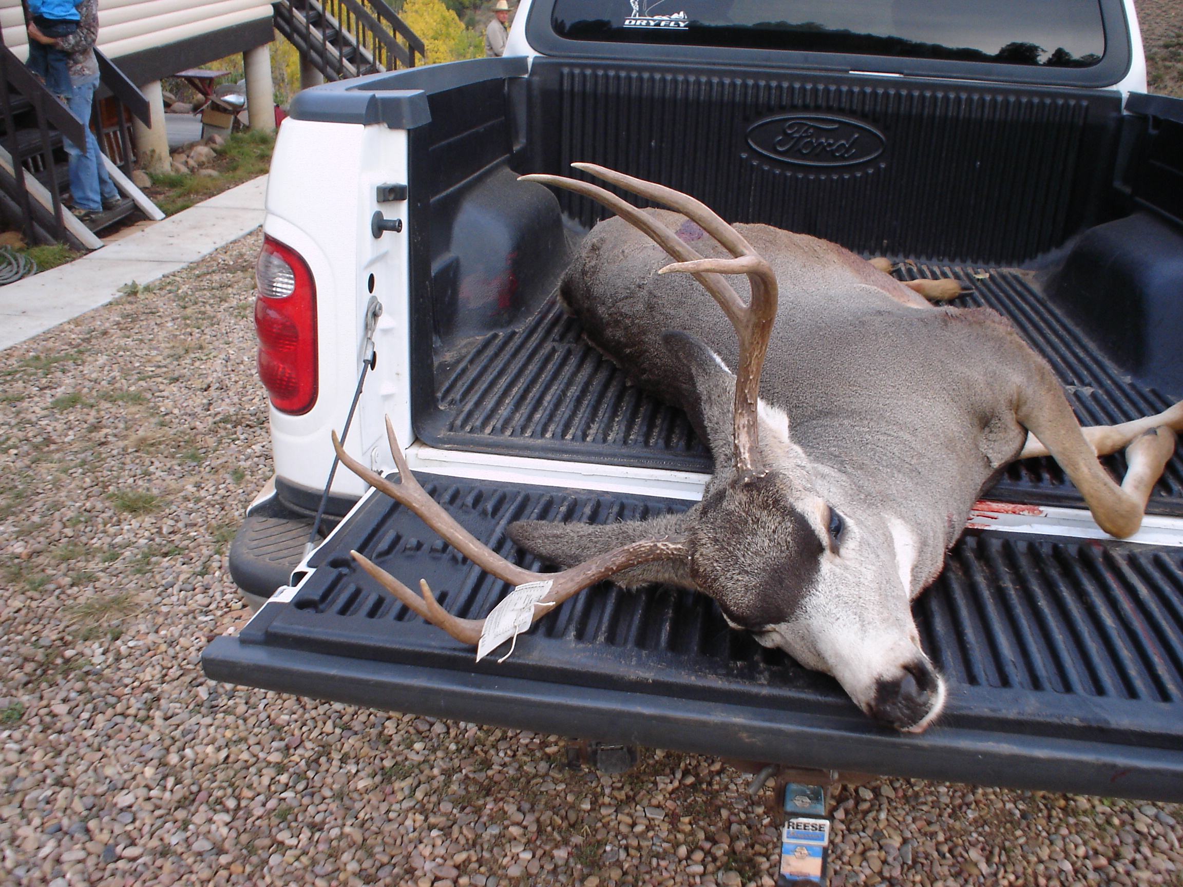 My Brother&#039;s 2012 Muzzleloader Buck