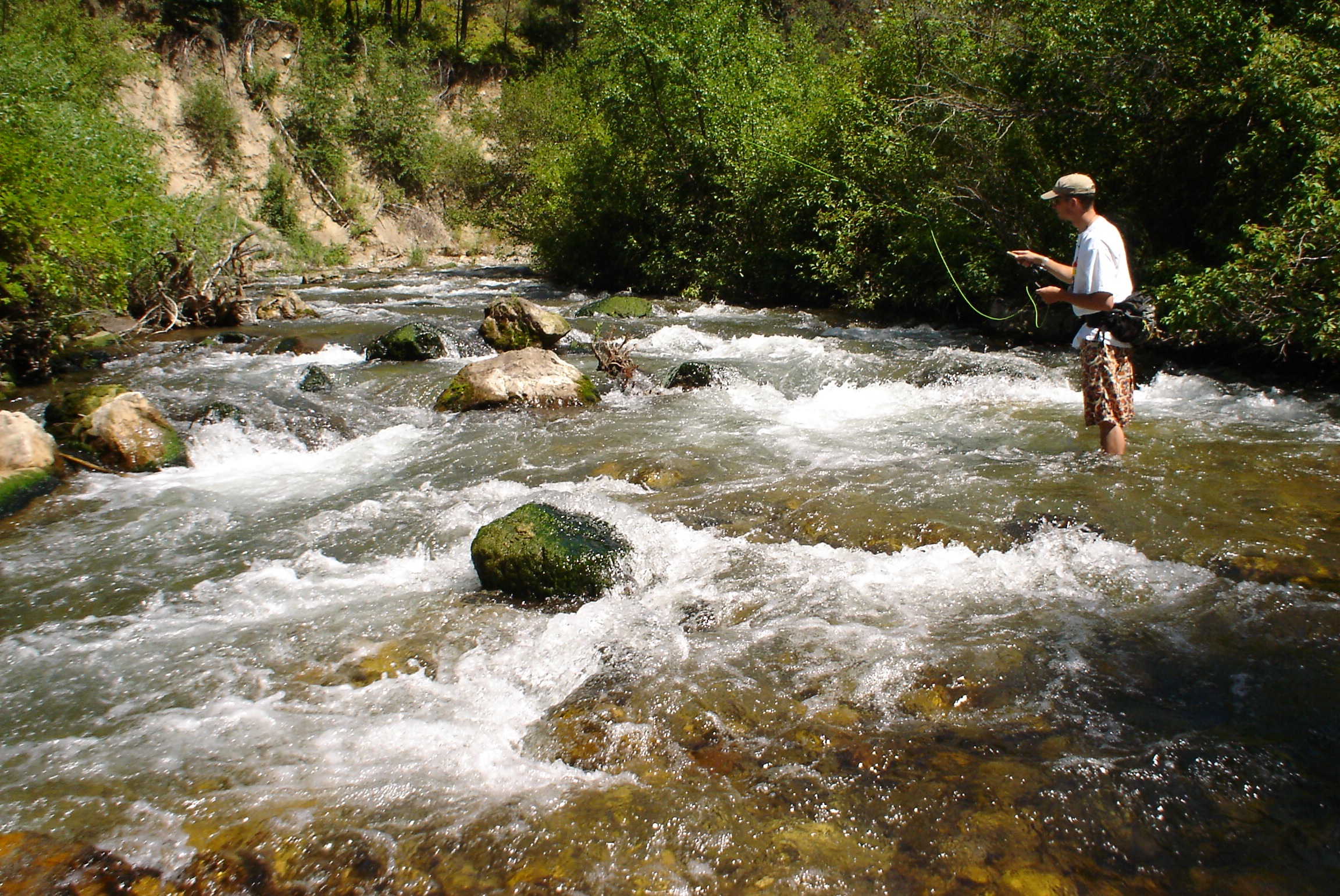 Palisades Creek, ID