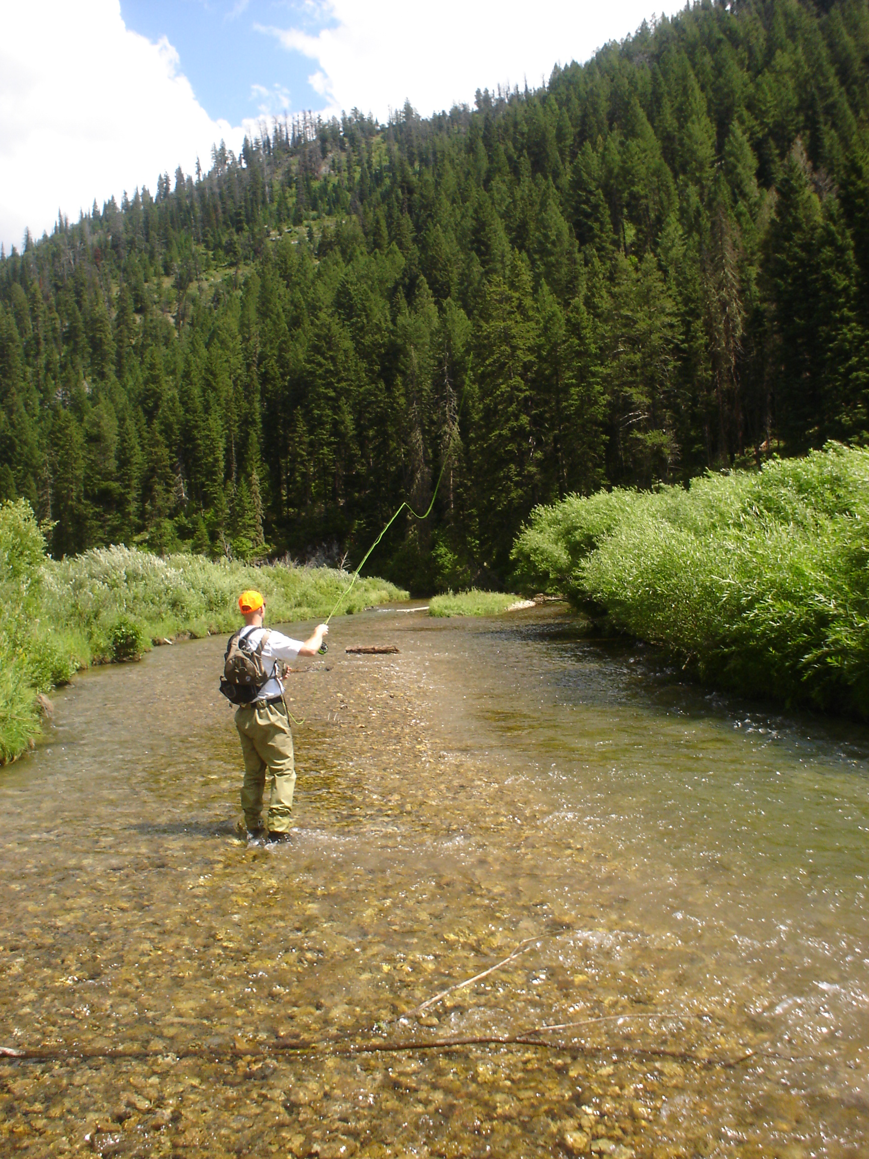 Palisades Creek, ID