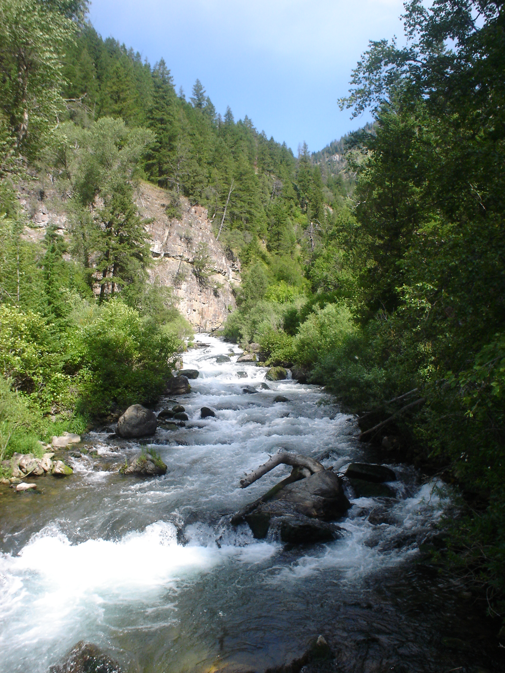 Palisades Creek, ID