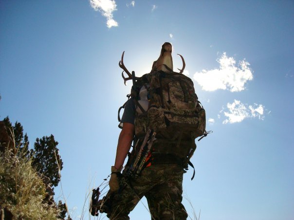 Another Wasatch Buck hits the ground