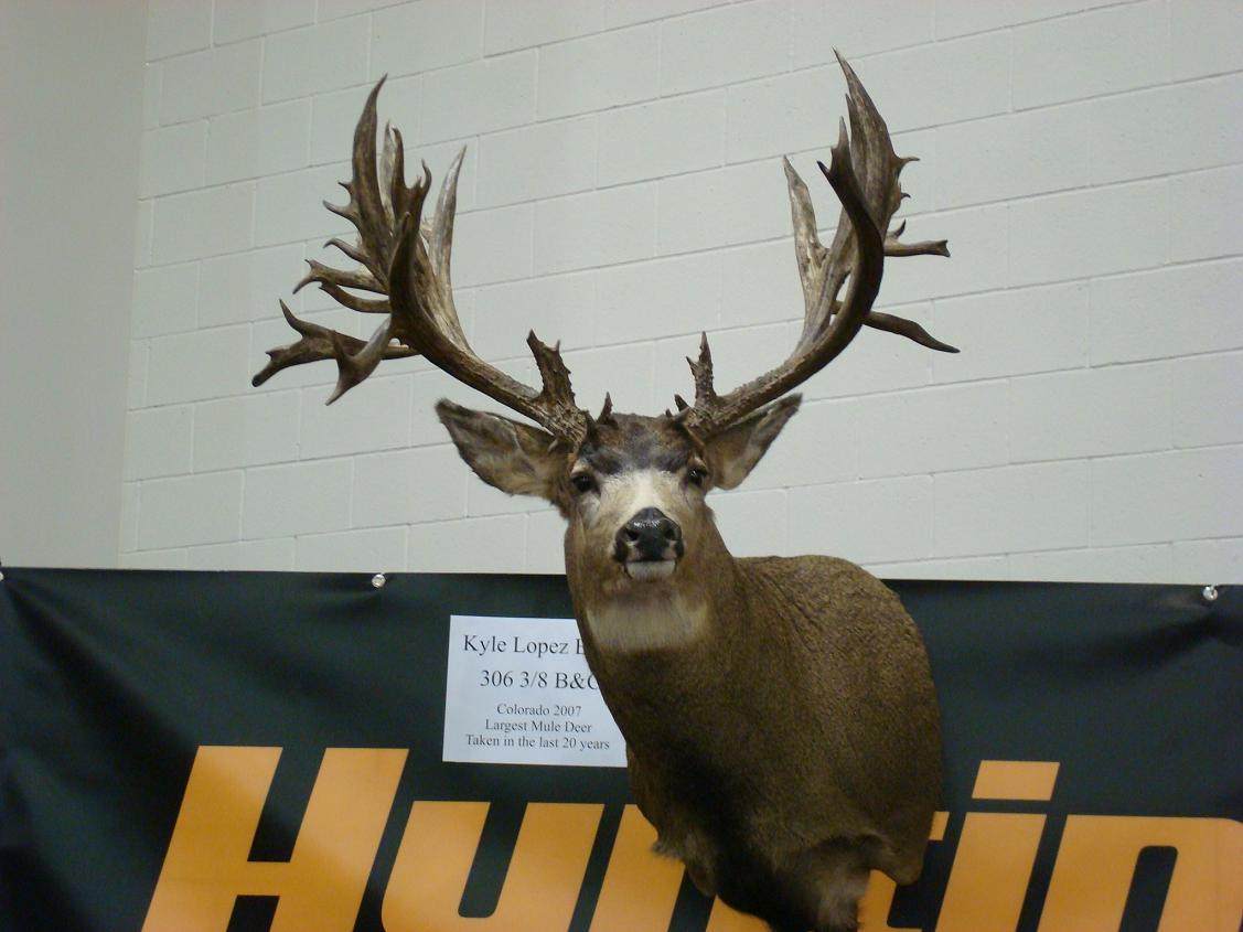 306&amp;quot; Co. Buck