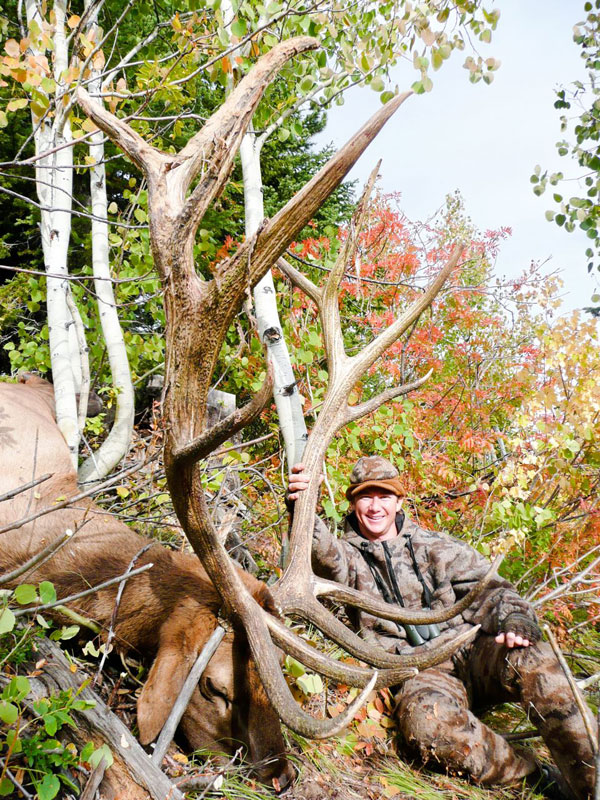 Monster Idaho Bull!