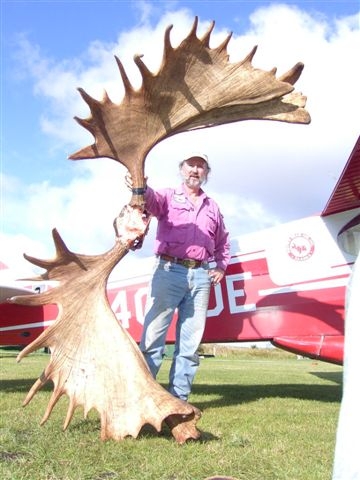 Small Bull Moose.  :)