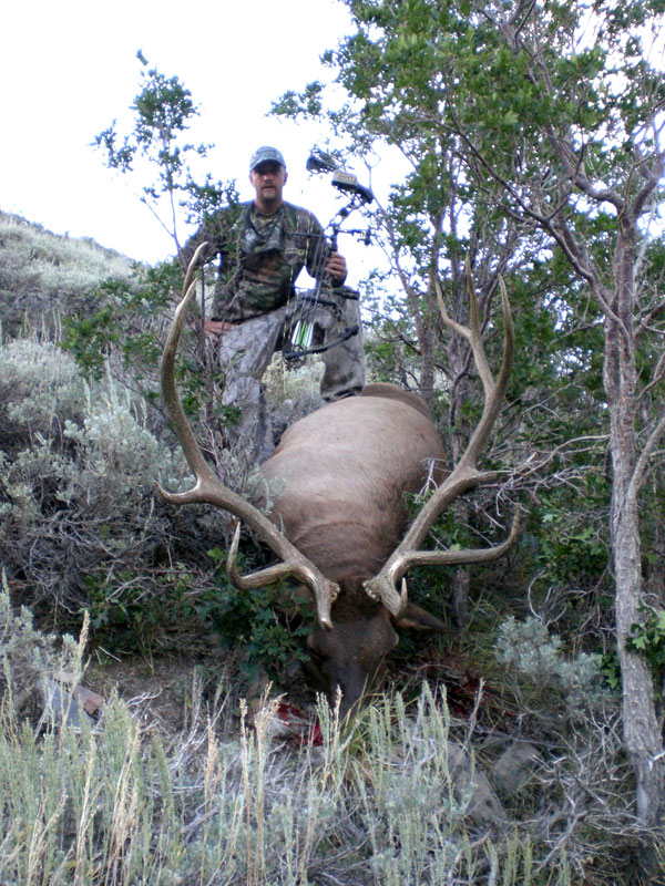 Archery Bull Down - Utah 6-point