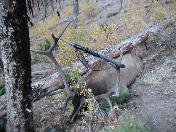 So. Utah Great Bull 2008