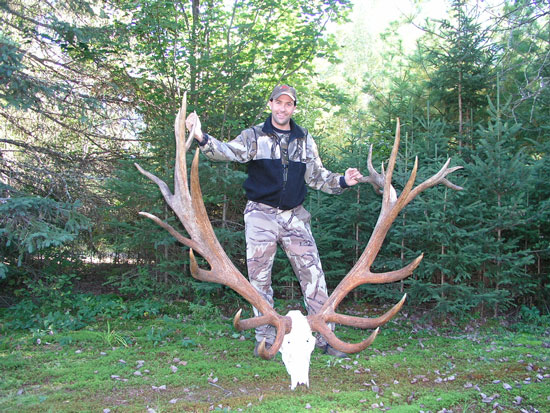 High Fenced Hunt - Monster Elk