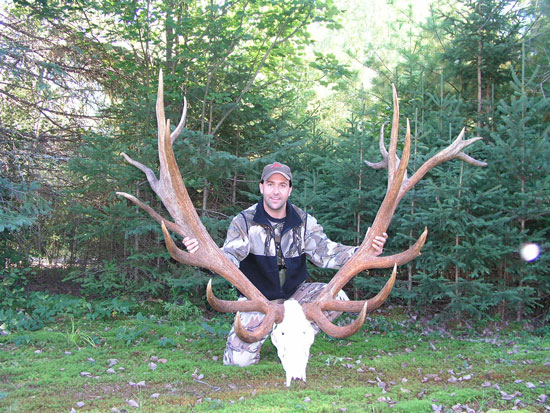 High Fenced Hunt - Monster Elk