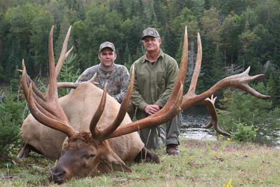 High Fenced Hunt - Monster Elk