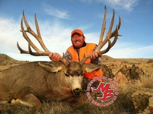 Antelope Island Buck