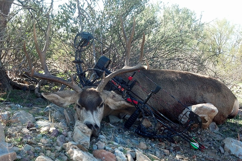 Wayne Williams - Southern AZ OTC Muley