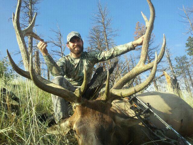 Indian Peaks Archery Bull