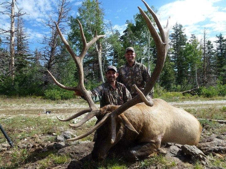 Giant Bull - Southern Utah