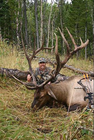 Pending P&amp;amp;Y Record Idaho Bull??