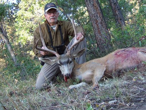 Hard Horned Colorado Buck