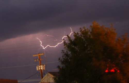 cropped shot