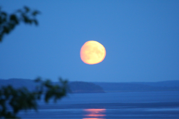 Cool Moon.  This at like 2 AM.  It never gets dark at this time of year.