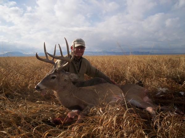 2008 Montana Whitetail