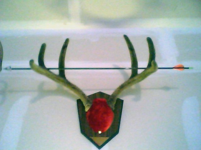 My archery muley 2008