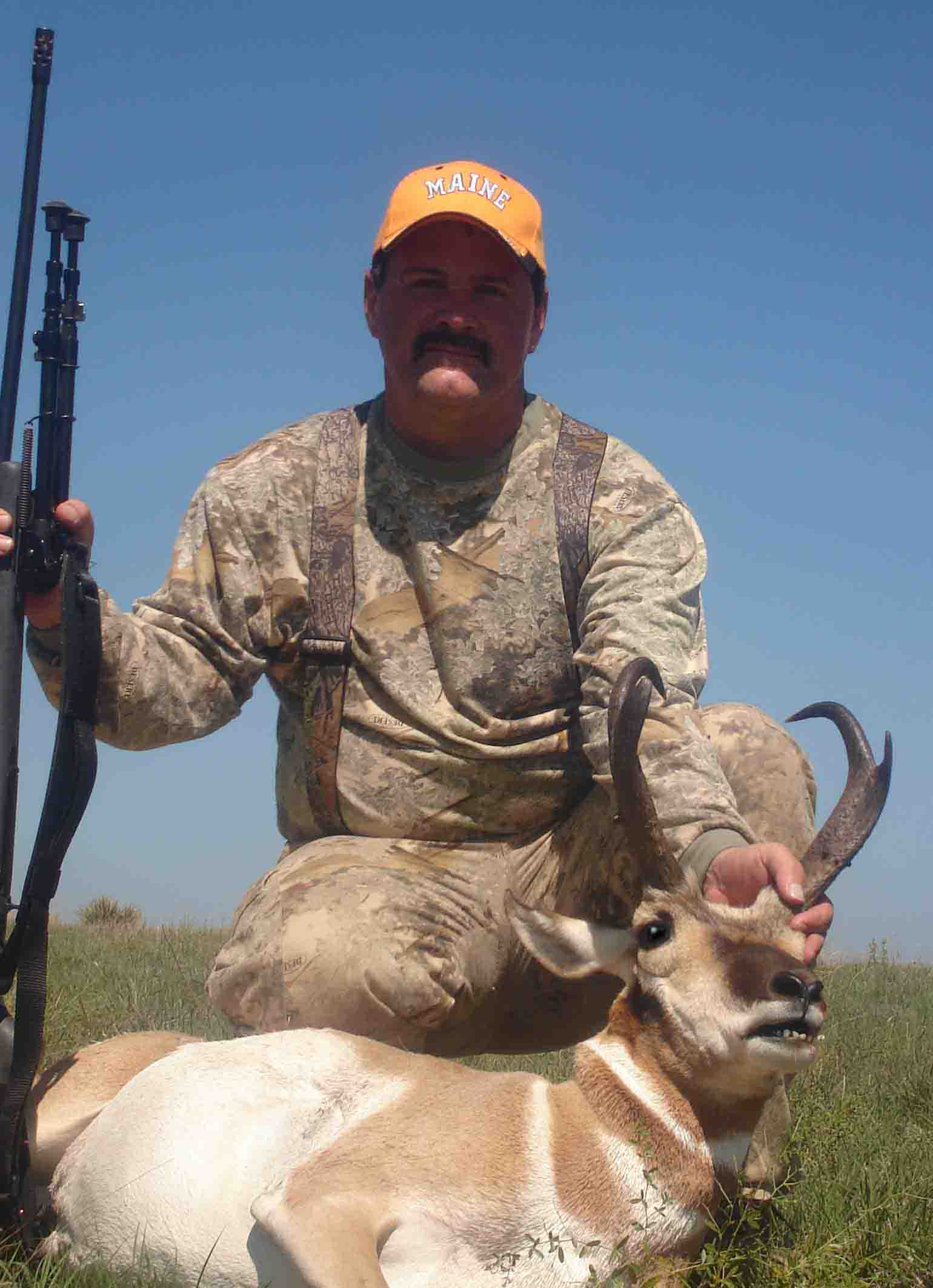 New Mexico Pronghorn