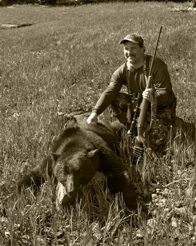 Alaska Black Bear