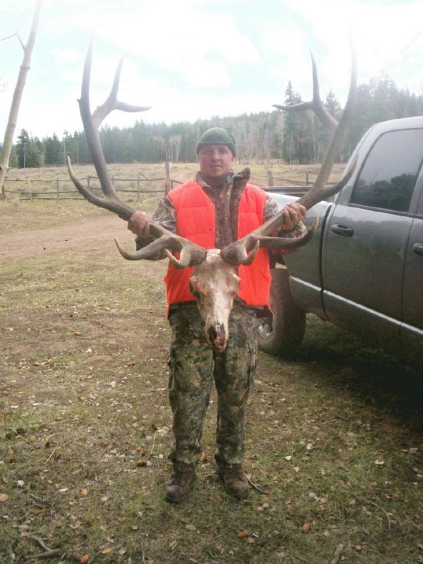 2007 UTAH NORTHERN BULL