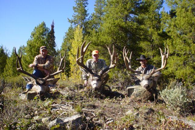 3 huge bucks