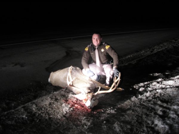 Parleys Canyon Buck