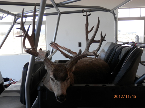 Nice Kaibab Muzzleloader Buck