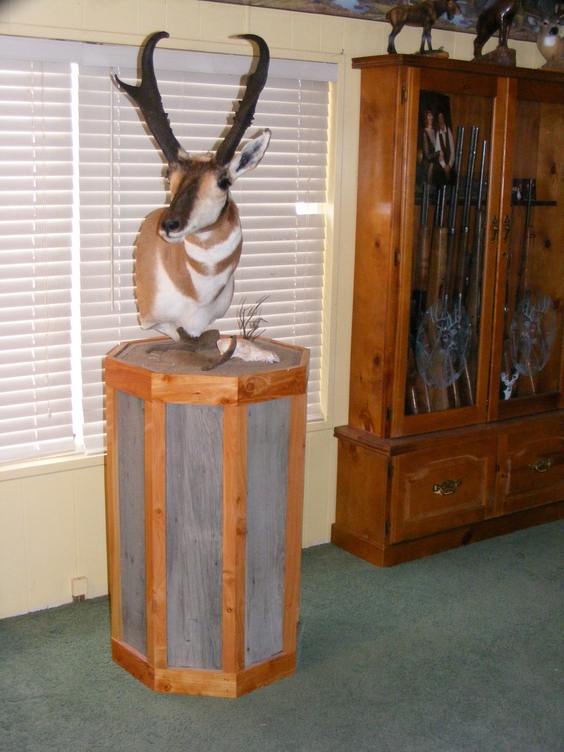 2011 Oregon  Antelope