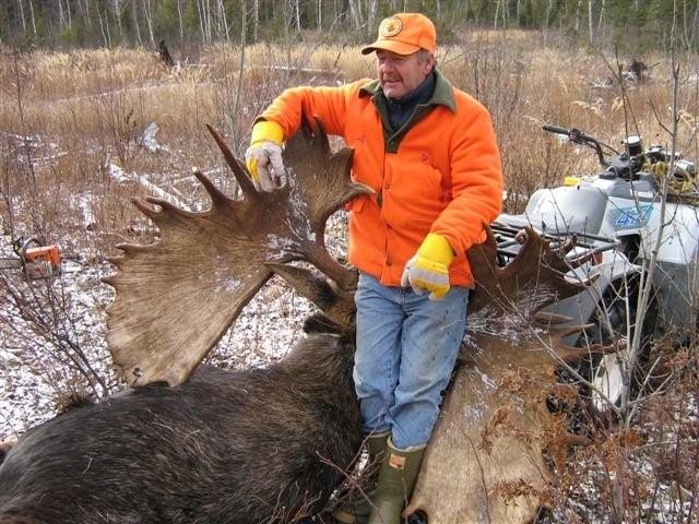 Monster Moose!!!!