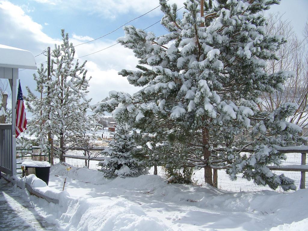 Snow