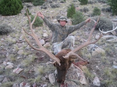 another picture of 400+ elk