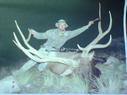 400+ archery elk