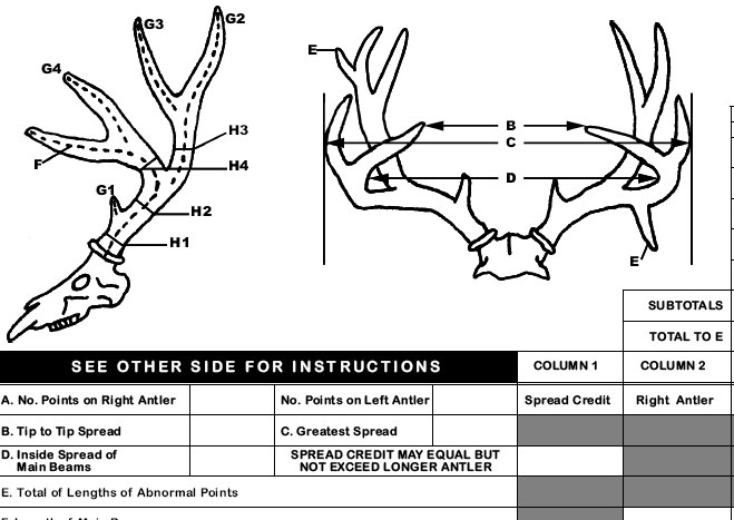 Re: 2008 Buck 223 6/8ths