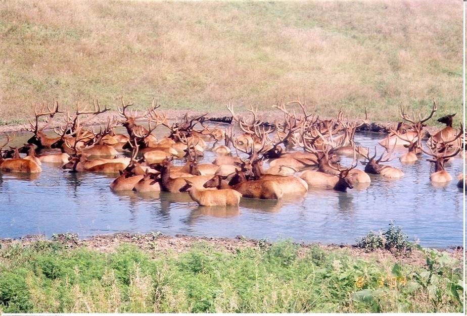 Wyoming hot tub party