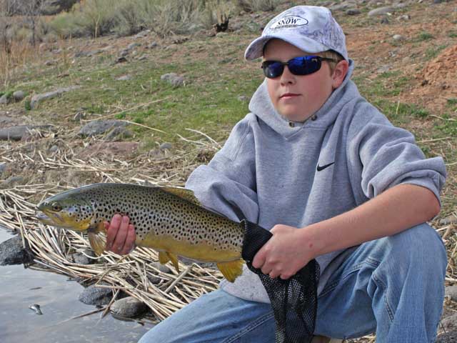 Couple nice browns