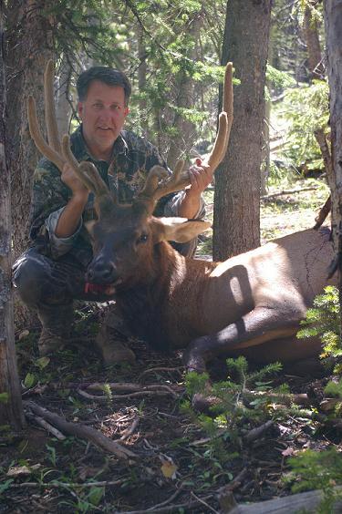 A Few Elk Photos From the Trail Cam and Harvest