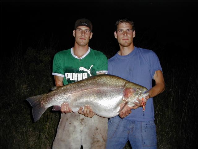 43.6 Pound Rainbow, new world record.