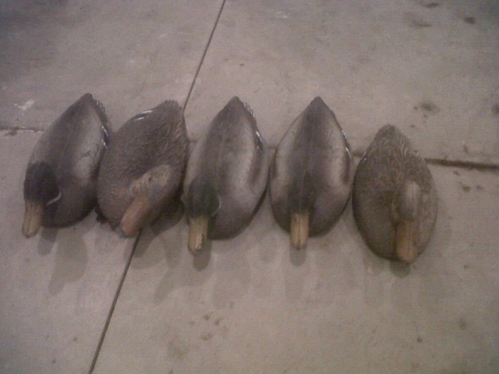 Homebrew Decoys