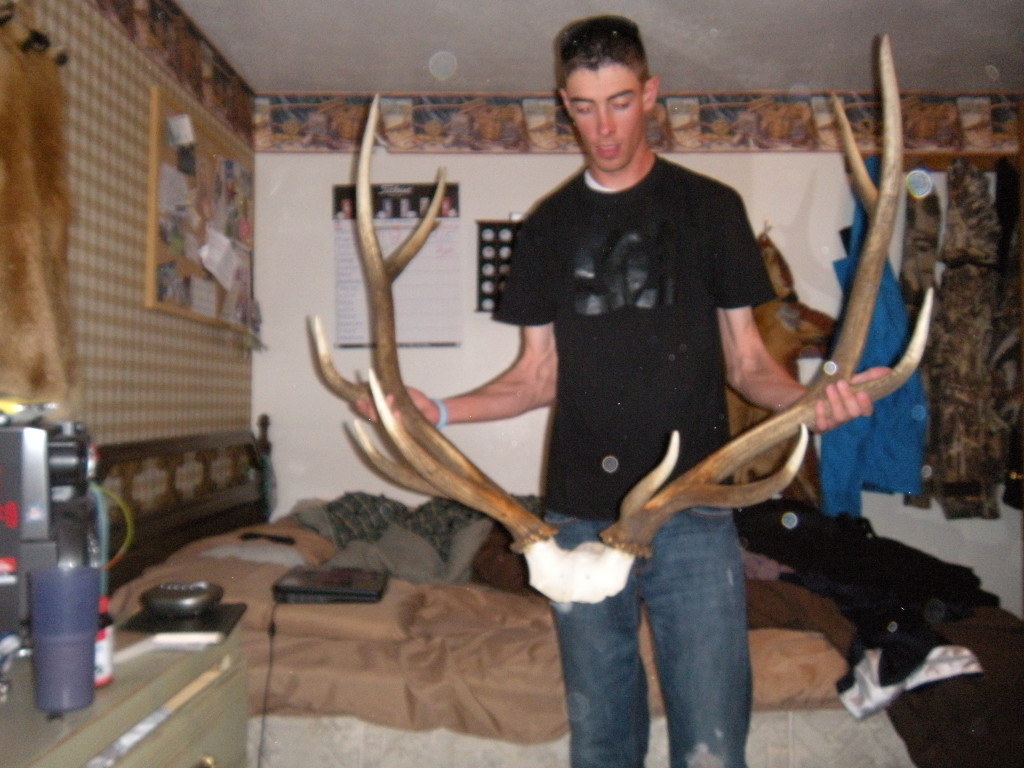 My elk, its about time!