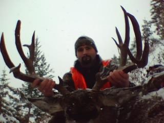 Re: Post your 2009 Muley here